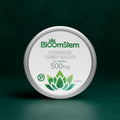 Pain Relief Salve 500mg | Bloomstem Hemp